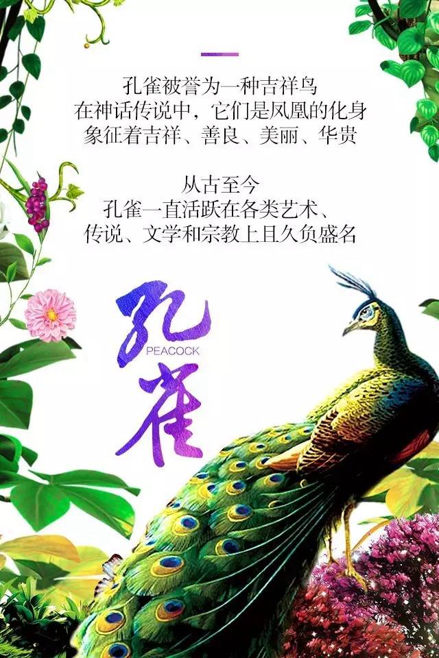 【915-918邵陽(yáng)秋季車(chē)展】鳳臨枝頭，雀雀雀雀雀實(shí)驚艷！